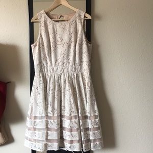 Eliza j lace fit and flare